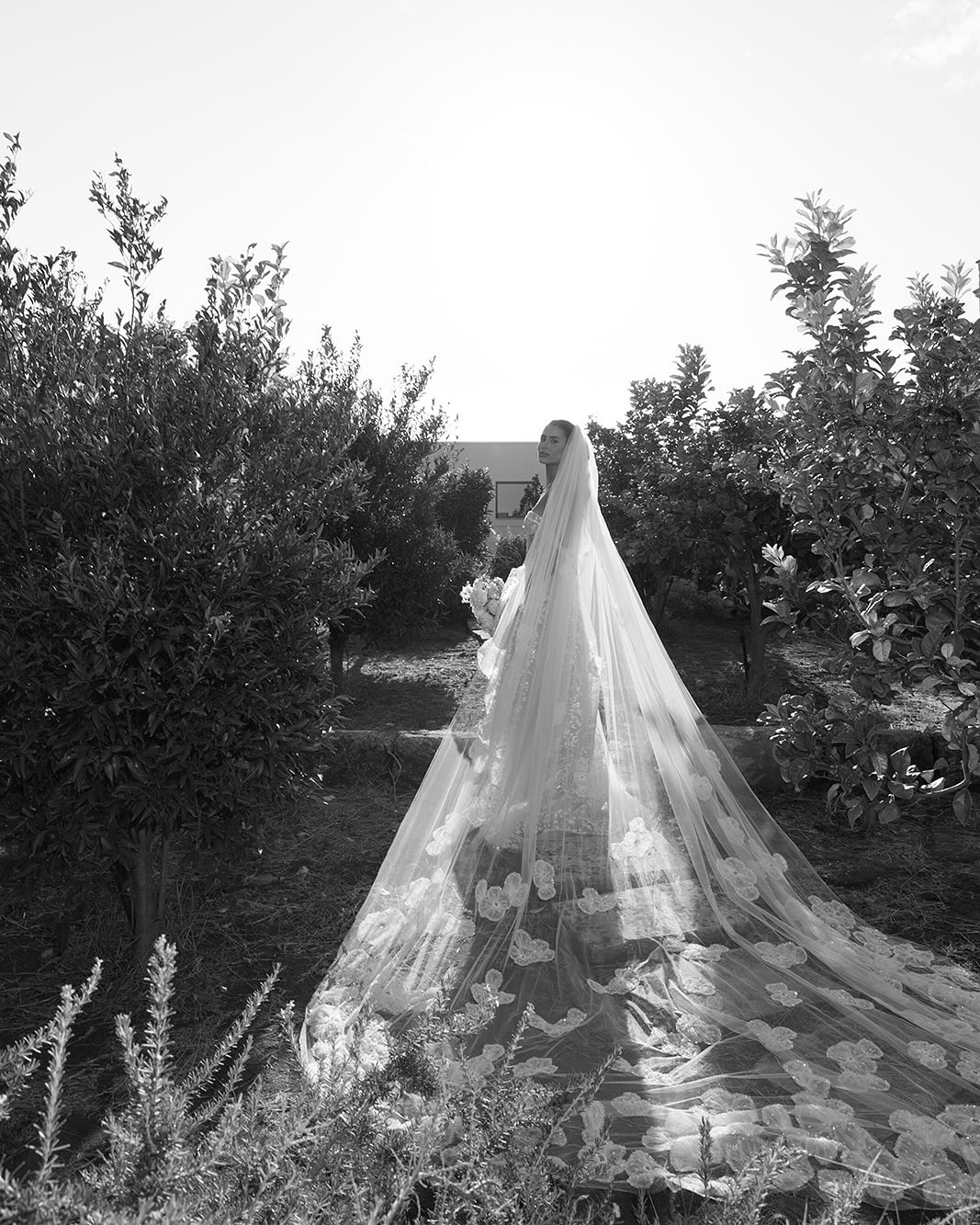 Wedding inspiration