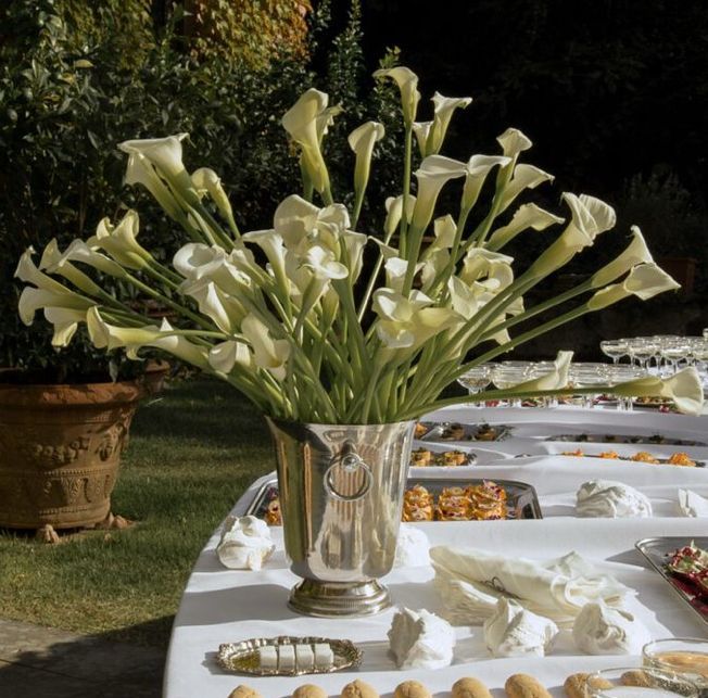 Wedding inspiration